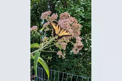 1326 Stonewall Avenue, Burlington, NC 27217 - Photo 21