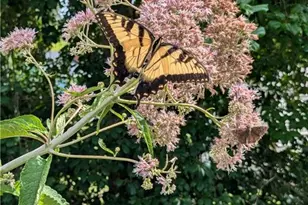 1326 Stonewall Ave, Burlington, NC 27217 - Photo 21