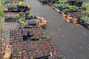 1326 Stonewall Ave, Burlington, NC 27217 - Photo 19