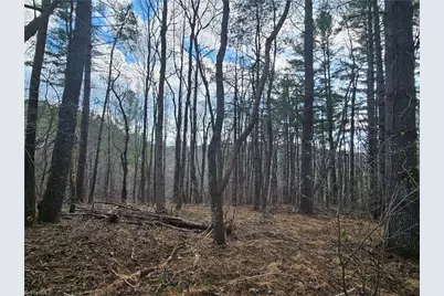 Tbd Panorama Drive, Todd, NC 28684 - Photo 7