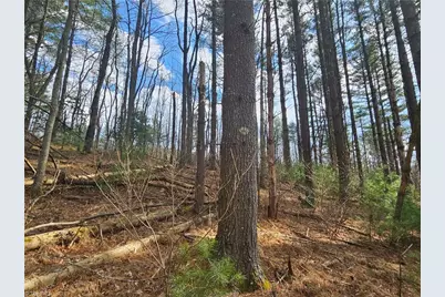 Tbd Panorama Drive, Todd, NC 28684 - Photo 1