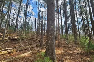 Tbd Panorama Dr, Todd, NC 28684 - Photo 1