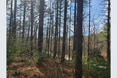 Tbd Panorama Drive, Todd, NC 28684 - Photo 19