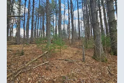 Tbd Panorama Drive, Todd, NC 28684 - Photo 5