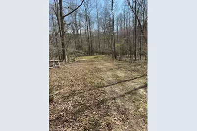 00 Seven Island Road, Danbury, NC 27016 - Photo 5