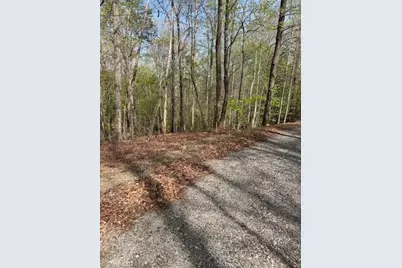 00 Seven Island Road, Danbury, NC 27016 - Photo 5