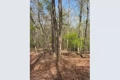 00 Seven Island Road, Danbury, NC 27016 - Photo 7