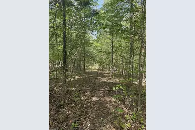 0 Cashatt Road, Trinity, NC 27370 - Photo 11