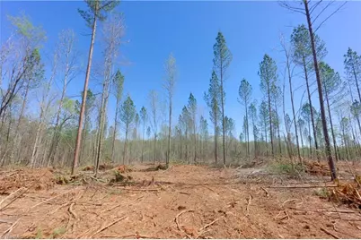 2 Alexander Farm Road, Harmony, NC 28634 - Photo 13