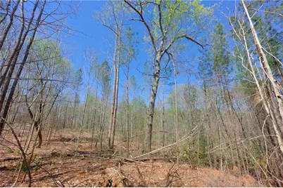 2 Alexander Farm Road, Harmony, NC 28634 - Photo 15