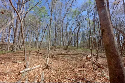 2 Alexander Farm Road, Harmony, NC 28634 - Photo 11