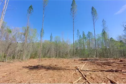 4 Alexander Farm Road, Harmony, NC 28634 - Photo 9