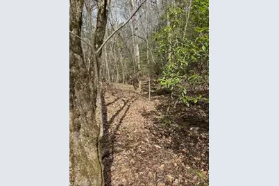 00 Seven Island Road, Danbury, NC 27016 - Photo 3