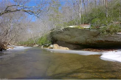 0 Otis Woods Road, Danbury, NC 27046 - Photo 15