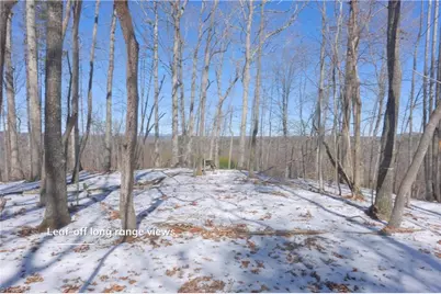 0 Otis Woods Road, Danbury, NC 27046 - Photo 37