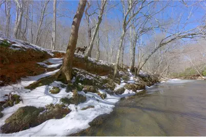 0 Otis Woods Road, Danbury, NC 27046 - Photo 23