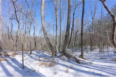 0 Otis Woods Road, Danbury, NC 27046 - Photo 21