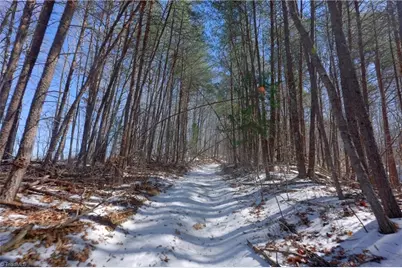 0 Otis Woods Road, Danbury, NC 27046 - Photo 29