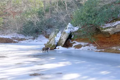 0 Otis Woods Road, Danbury, NC 27046 - Photo 13