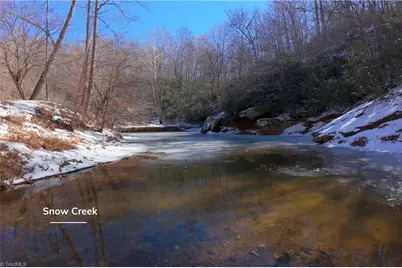 0 Otis Woods Road, Danbury, NC 27046 - Photo 15