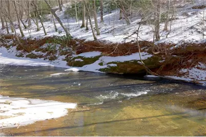 0 Otis Woods Road, Danbury, NC 27046 - Photo 27