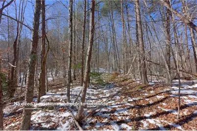 0 Otis Woods Road, Danbury, NC 27046 - Photo 31