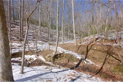 0 Otis Woods Road, Danbury, NC 27046 - Photo 35