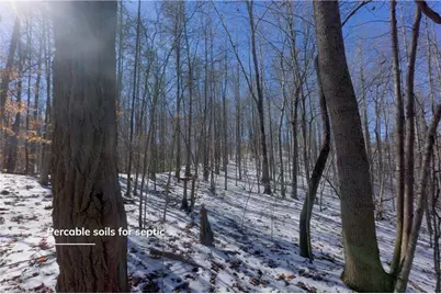 0 Otis Woods Road, Danbury, NC 27046 - Photo 19