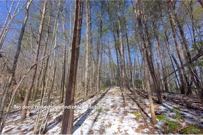 0 Otis Woods Road, Danbury, NC 27046 - Photo 25