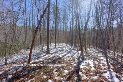 0 Otis Woods Road, Danbury, NC 27046 - Photo 29