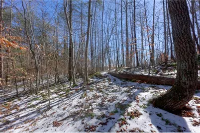 0 Otis Woods Road, Danbury, NC 27046 - Photo 27