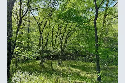 0 Otis Woods Road, Danbury, NC 27046 - Photo 43
