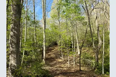 0 Otis Woods Road, Danbury, NC 27046 - Photo 17