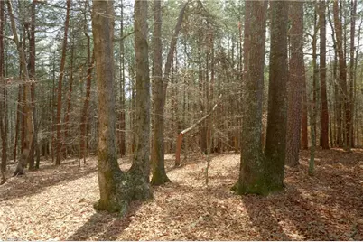 1019-3 George Road, Westfield, NC 27053 - Photo 7