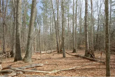 1019-3 George Road, Westfield, NC 27053 - Photo 5