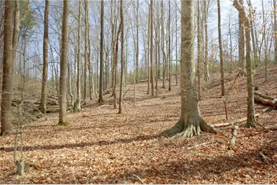 1019-11 George Road, Westfield, NC 27053 - Photo 11