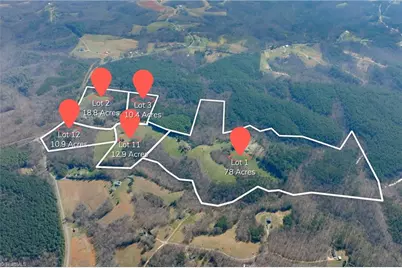 1019-11 George Road, Westfield, NC 27053 - Photo 13