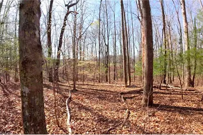 1019-12 George Road, Westfield, NC 27053 - Photo 11