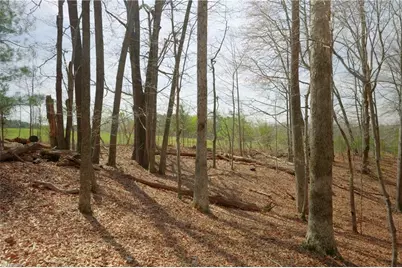 1019-12 George Road, Westfield, NC 27053 - Photo 9