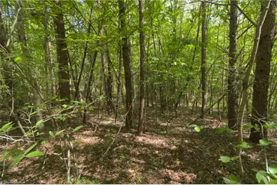 9156 Nc Highway 62 N, Milton, NC 27305 - Photo 7