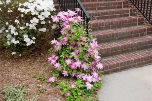 2502 Wedge Pl, Asheboro, NC 27205 - Photo 49