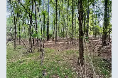 161 Greens Road, Granite Falls, NC 28630 - Photo 3