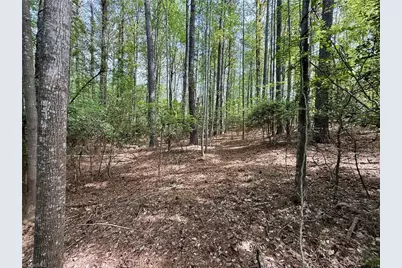 161 Greens Road, Granite Falls, NC 28630 - Photo 9