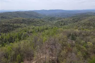 5636 Mertie Rd, Millers Creek, NC 28635 - Photo 25