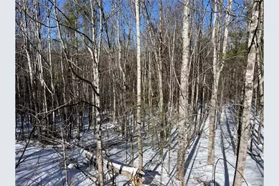 Tbd (Lots 13 & 14) Timberwilde Drive, Laurel Springs, NC 28644 - Photo 19