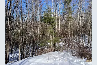 Tbd (Lots 13 & 14) Timberwilde Drive, Laurel Springs, NC 28644 - Photo 17