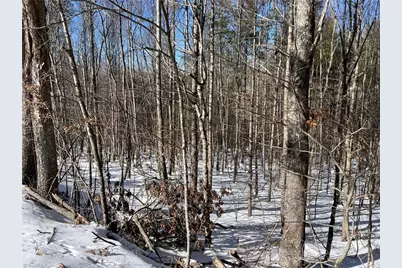 Tbd (Lots 13 & 14) Timberwilde Drive, Laurel Springs, NC 28644 - Photo 11