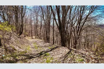 7277 Beech Mountain Road, Beech Mountain, NC 28622 - Photo 5