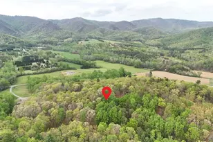 227 Baldwin Dr, Lowgap, NC 27024 - Photo 49
