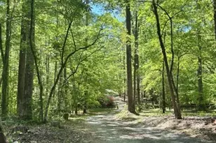 7198 Spring Hill Rd, Lewisville, NC 27023 - Photo 35